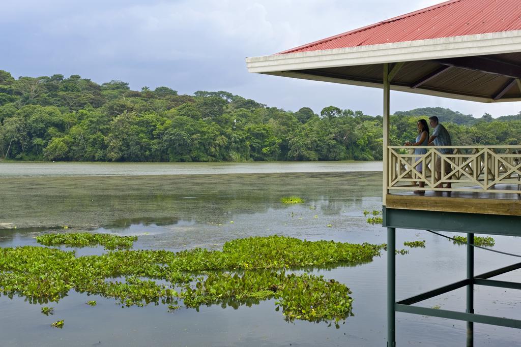 Gamboa Rainforest Reserve Eksteriør billede